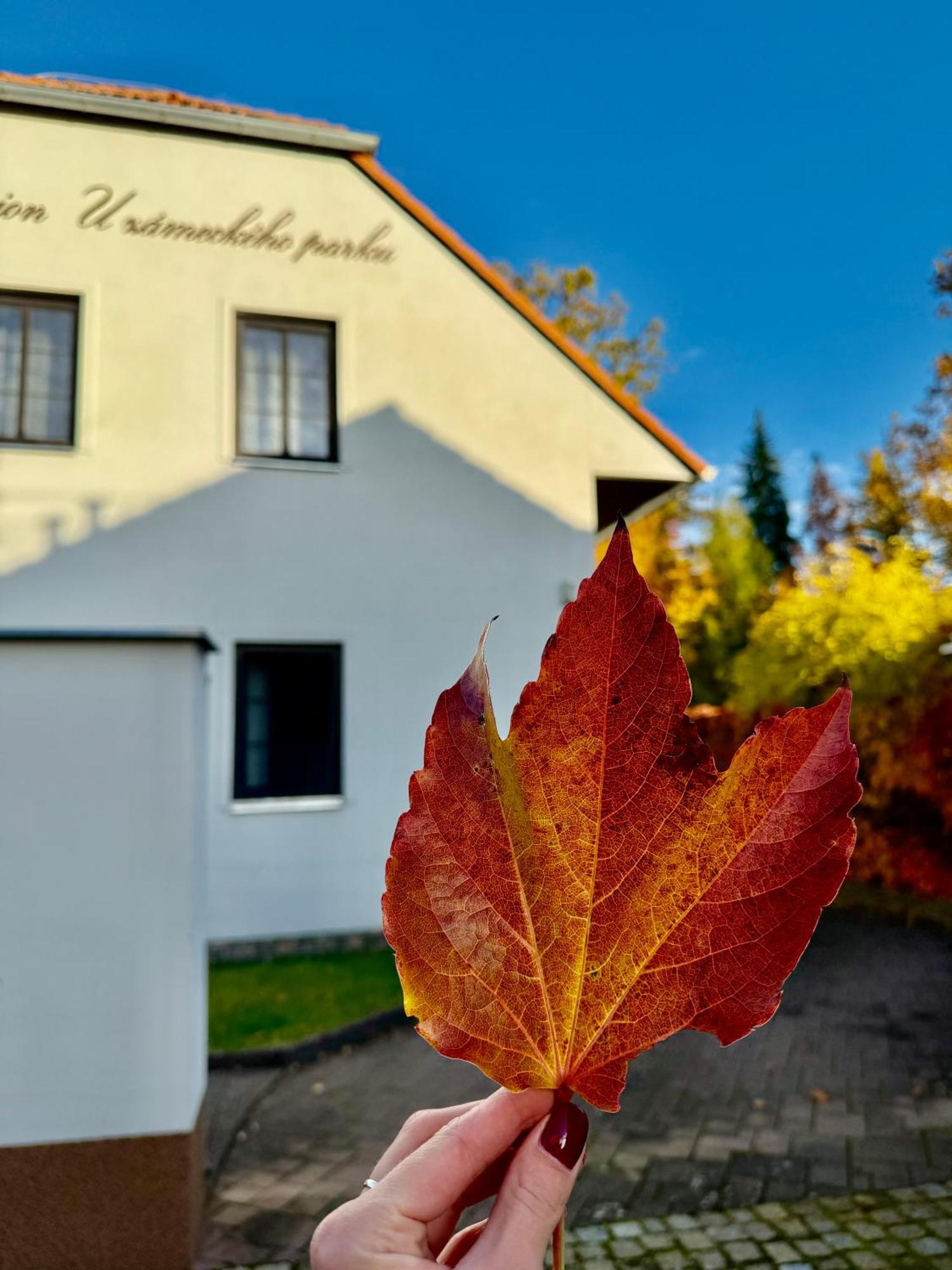 Penzion U Zameckeho Parku Trebon Luaran gambar
